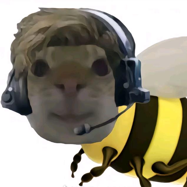 听了五年哈基米