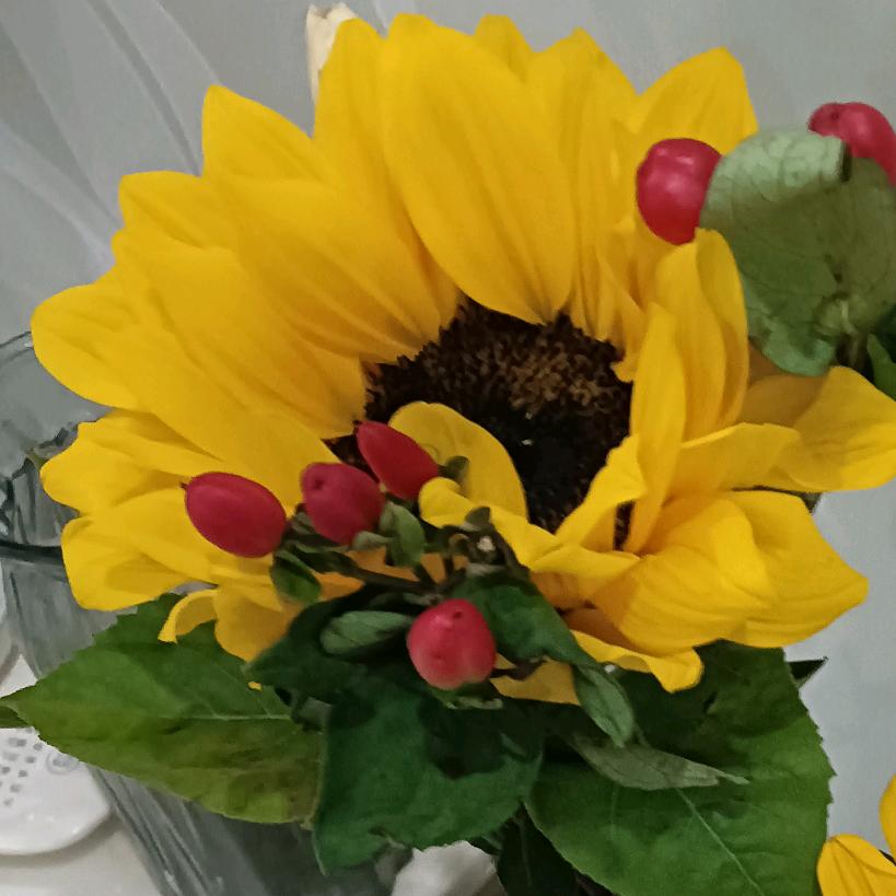 固始🌹古🌹月