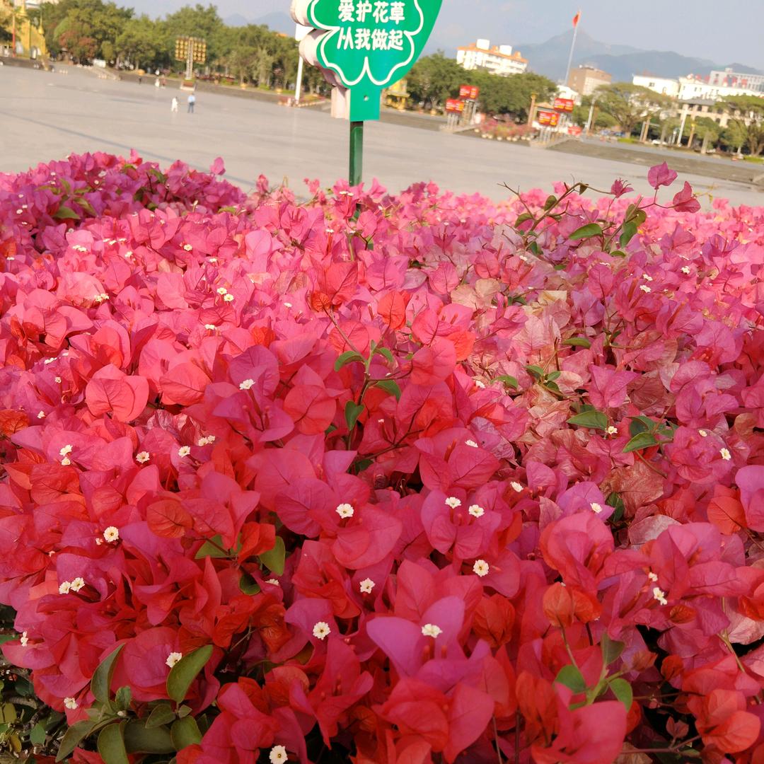 来生不要在相遇