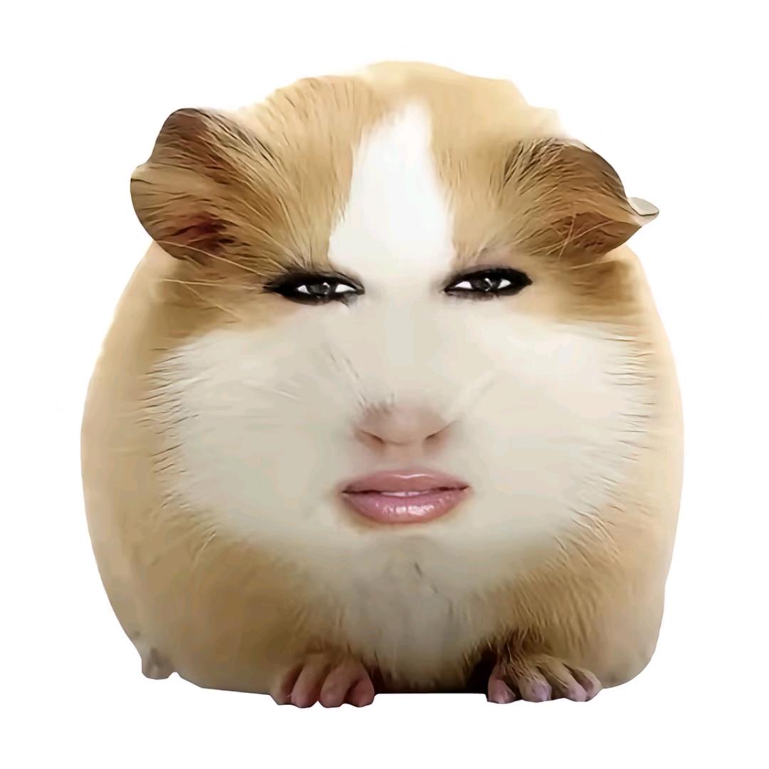 萬事勝意天天開心