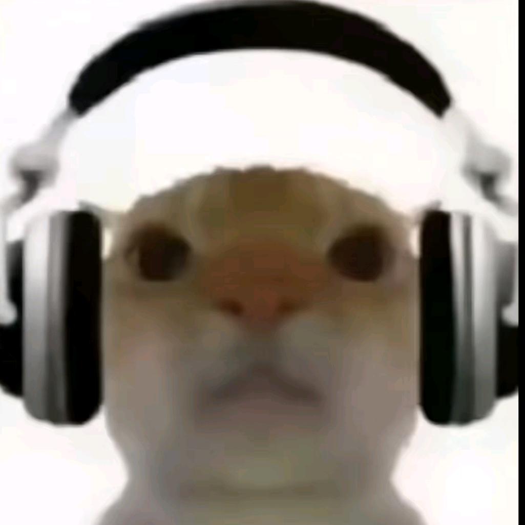 ⁥
