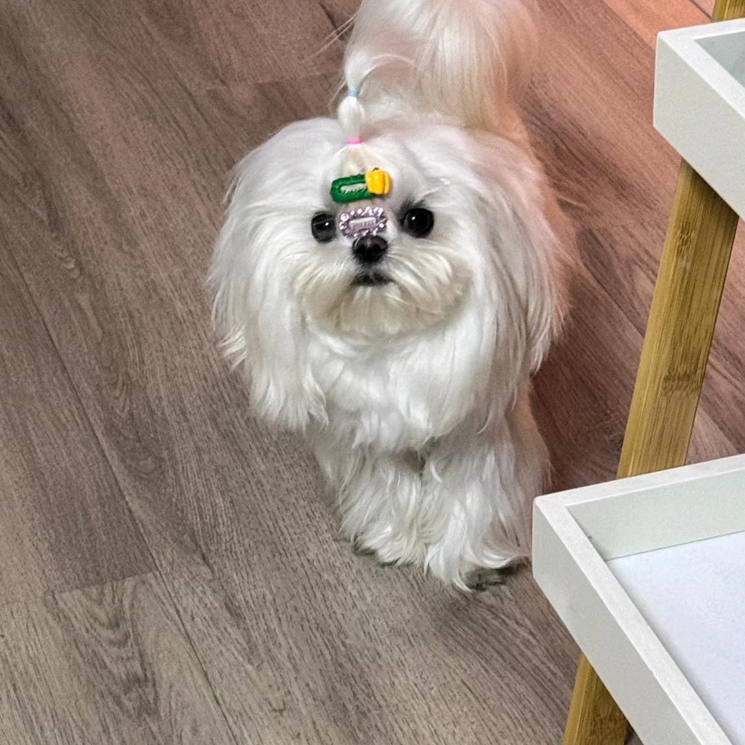 。。。