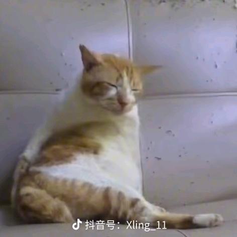 超孜然