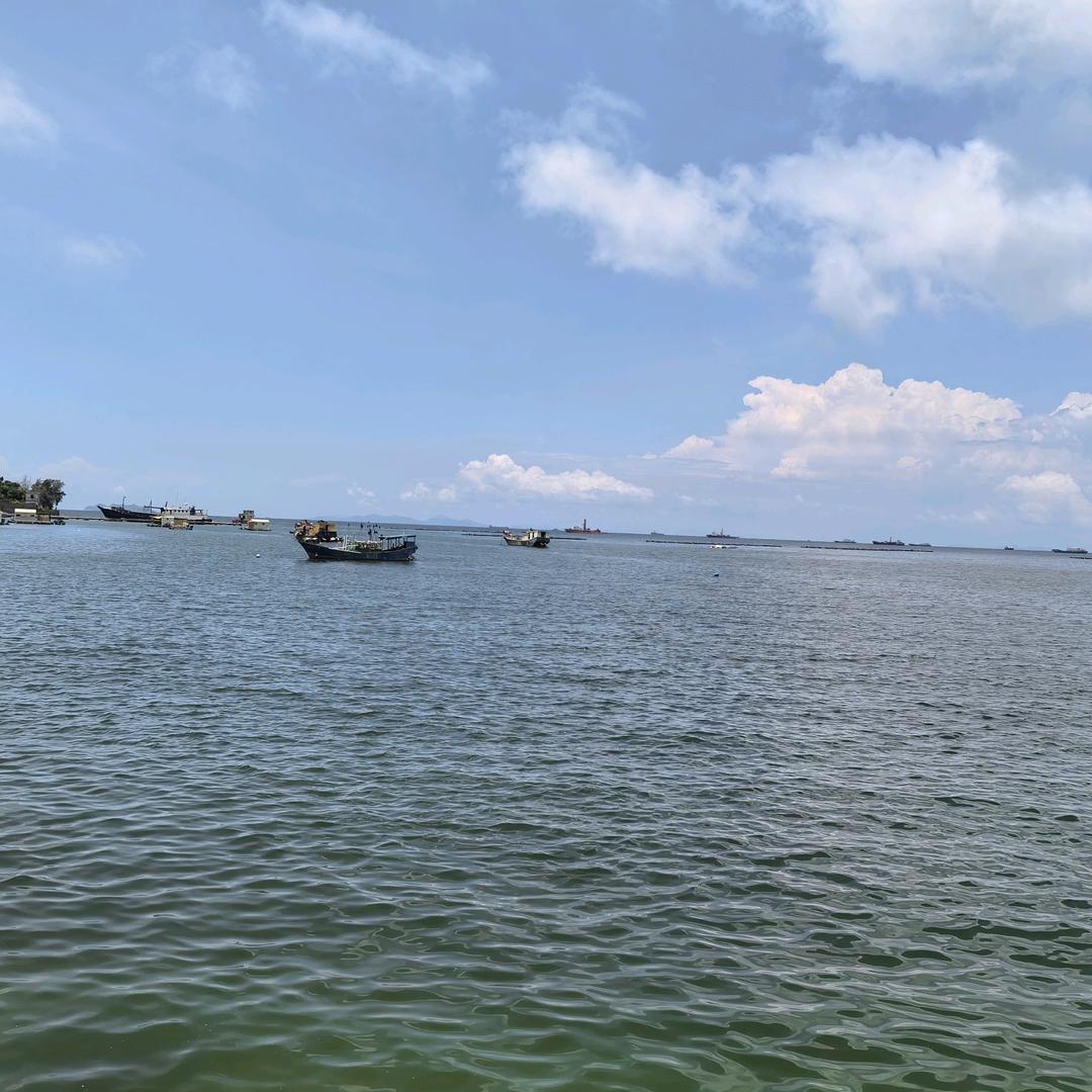 小白🙂