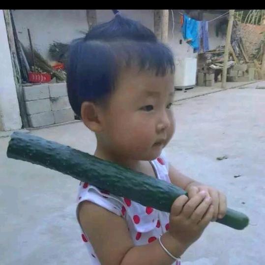 დ᭄ꦿ一介俗人꧔ꦿ℘⸙
