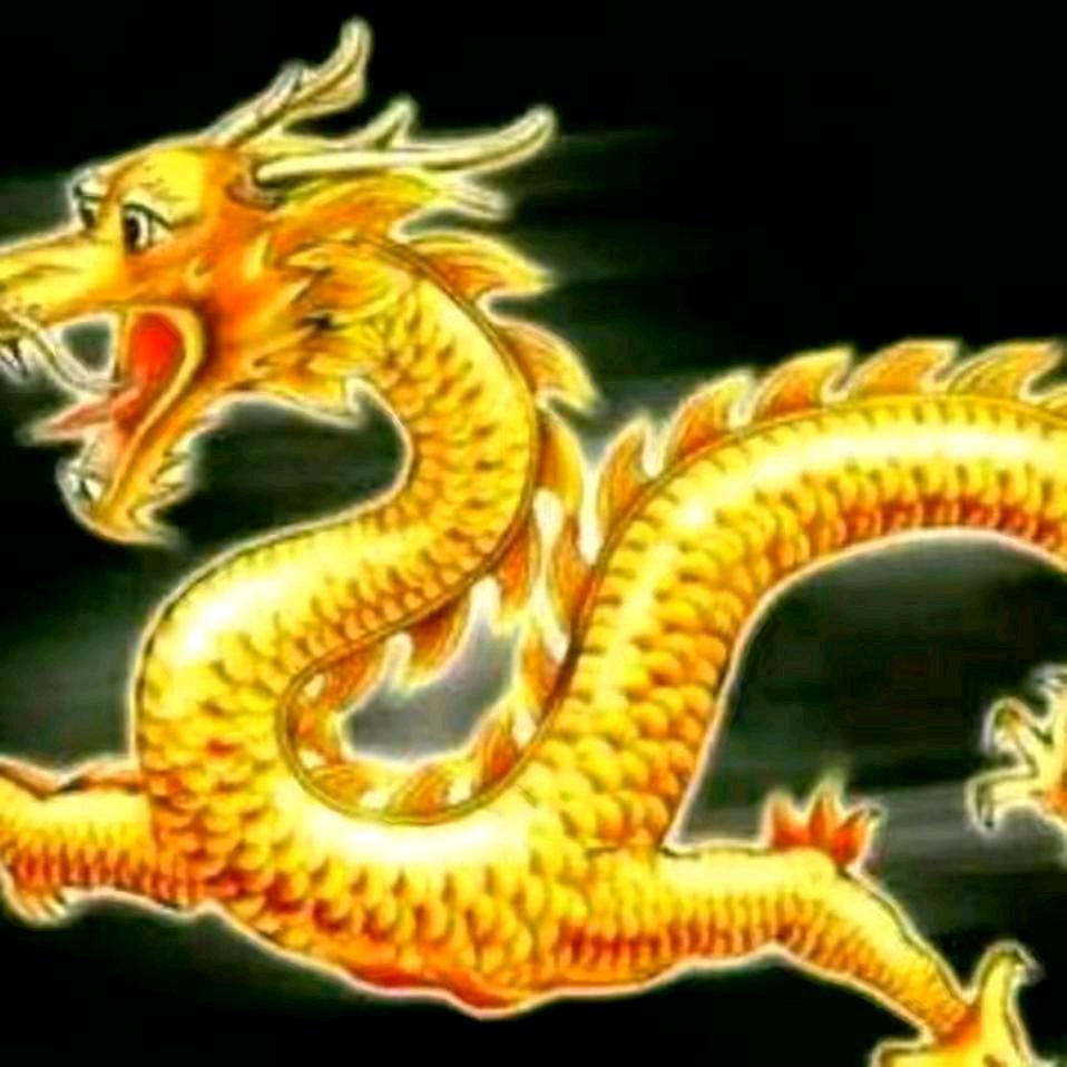我和一个人挺好