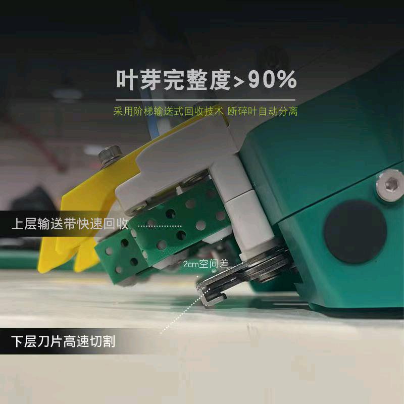 小茗
