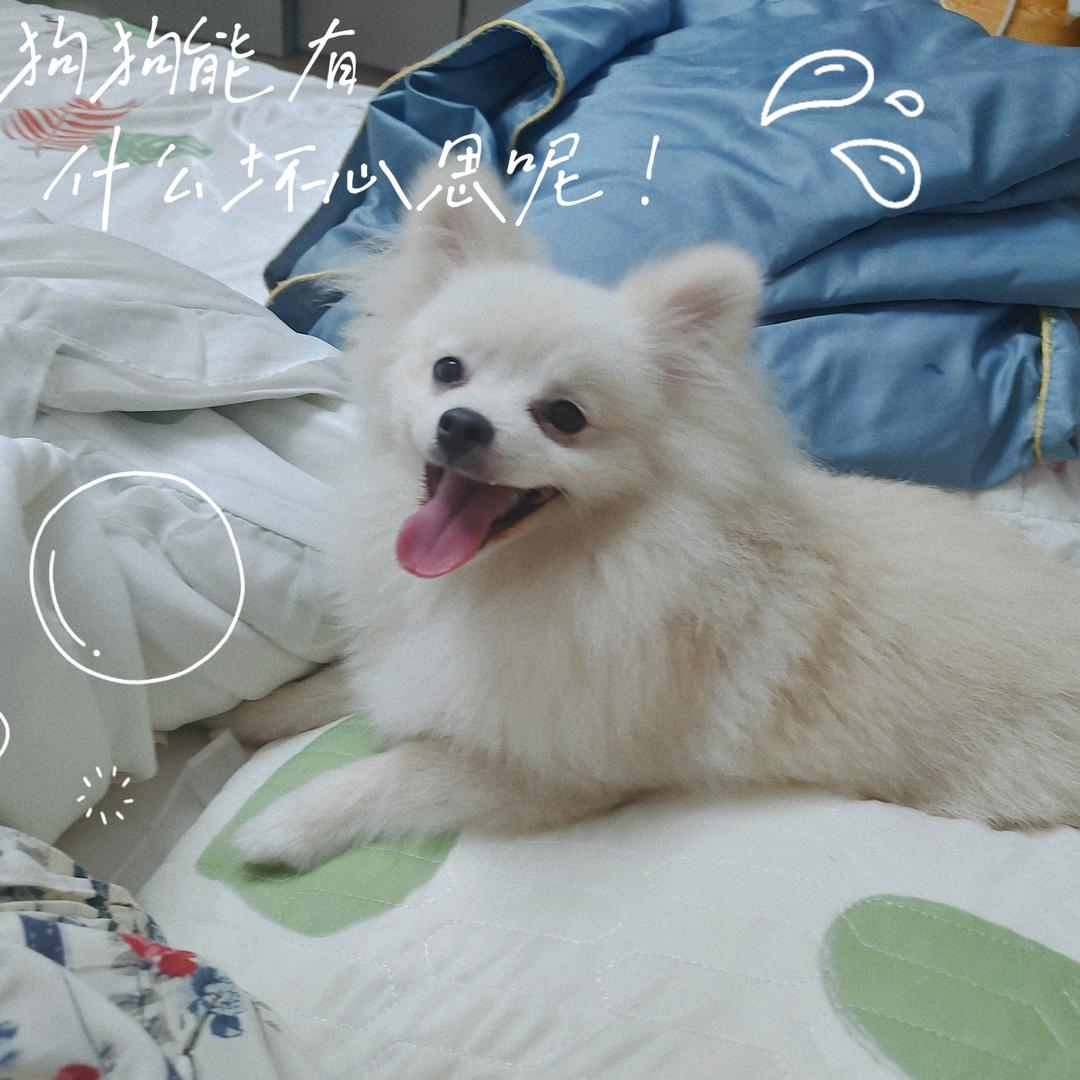 小元宵