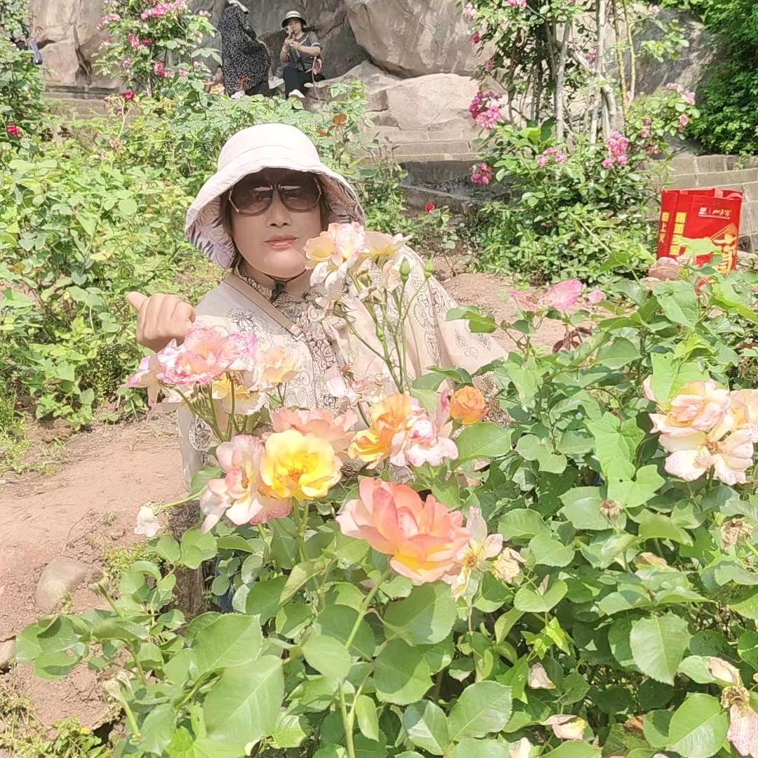 用户7630947405239罗三，