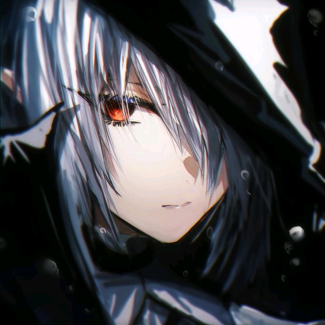 全网最尊重江停的账号