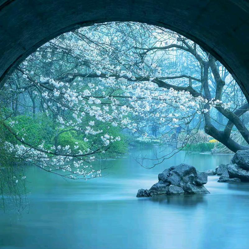 天地一蜉蝣