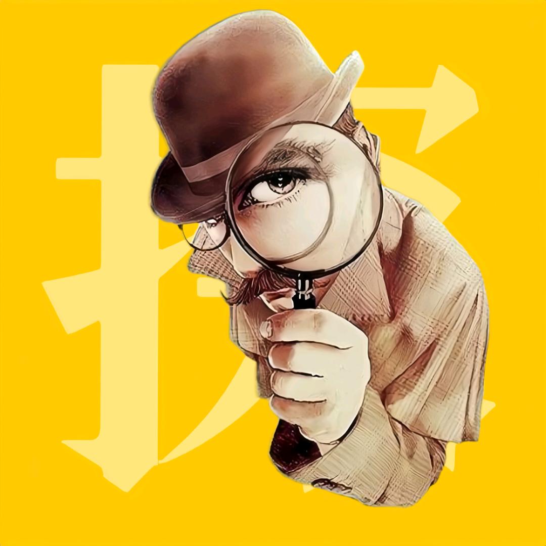 辣手真探