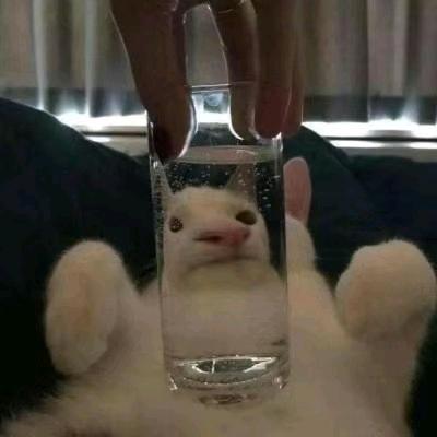 不知道改啥，凑合用