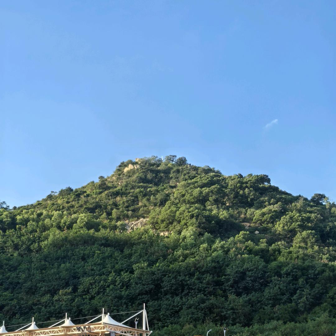 花仙子绿植基地