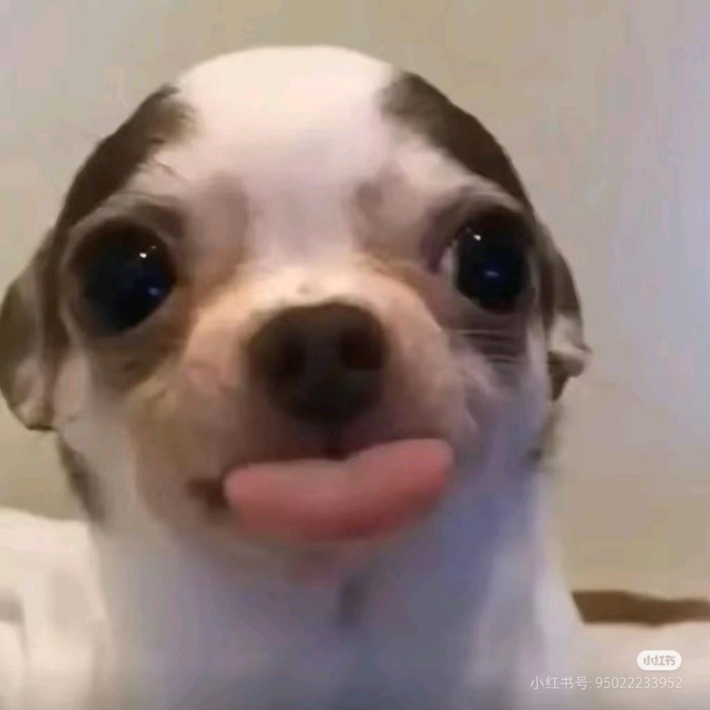 ✨✨