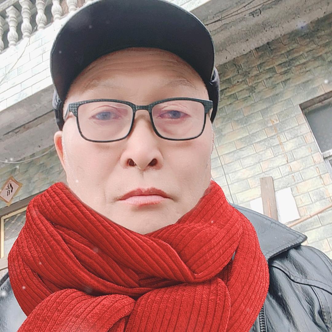 南山的青松