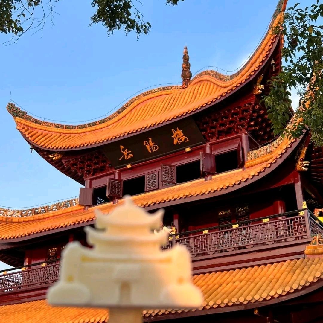 午夜Q铃