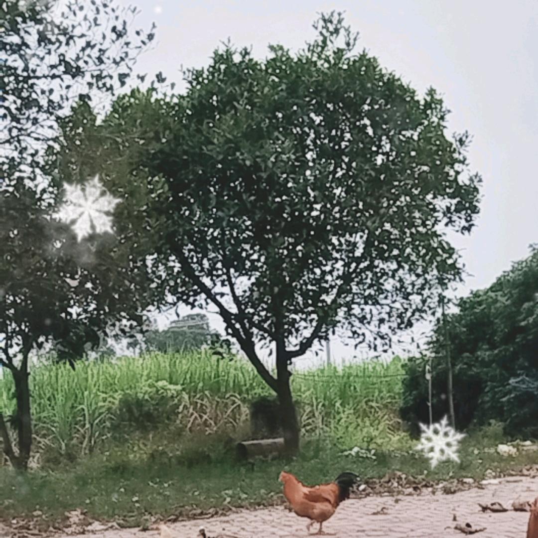 没雨绸缪