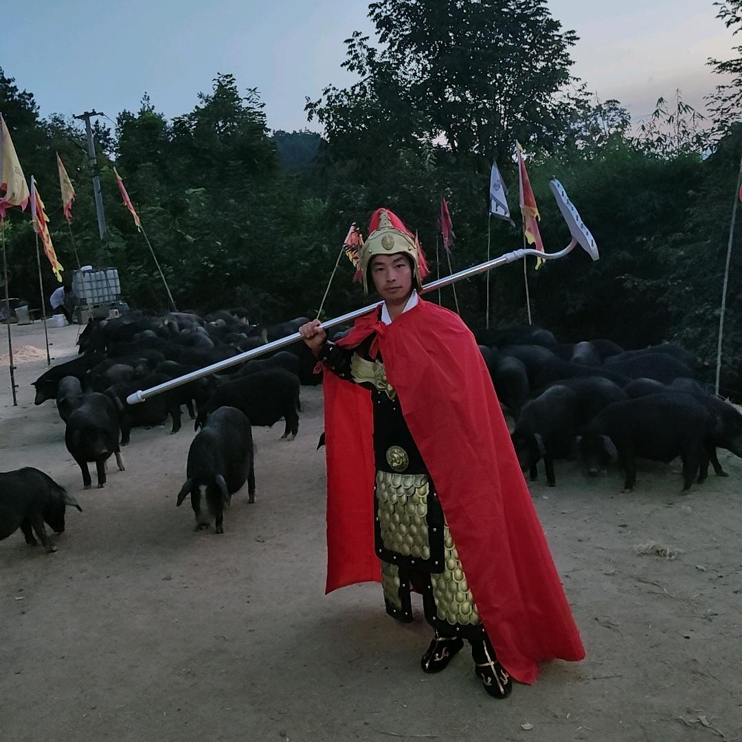 江湖人称猪皇