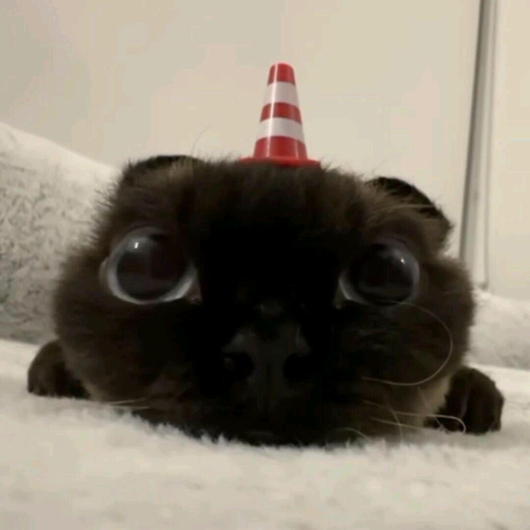 柠