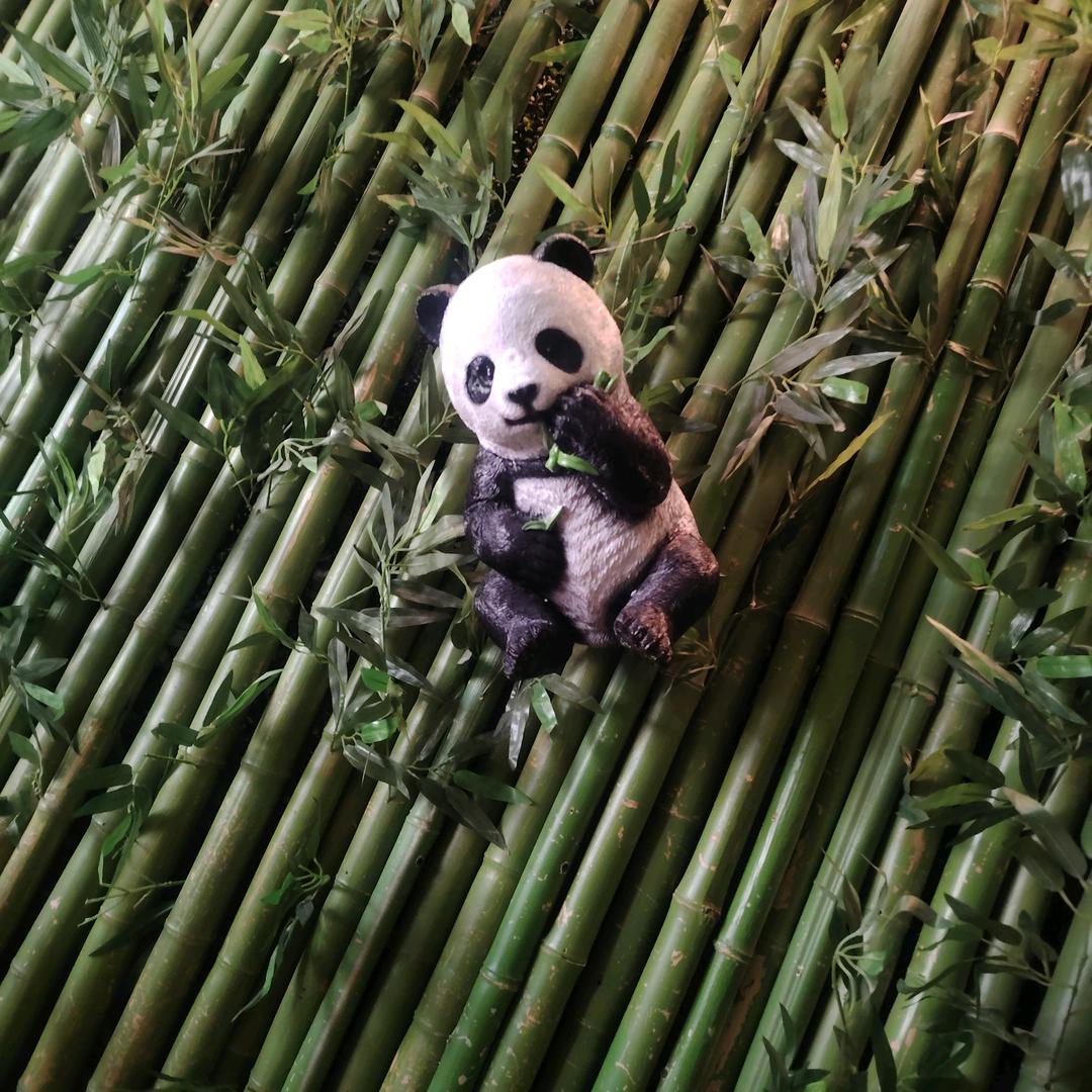 回忆