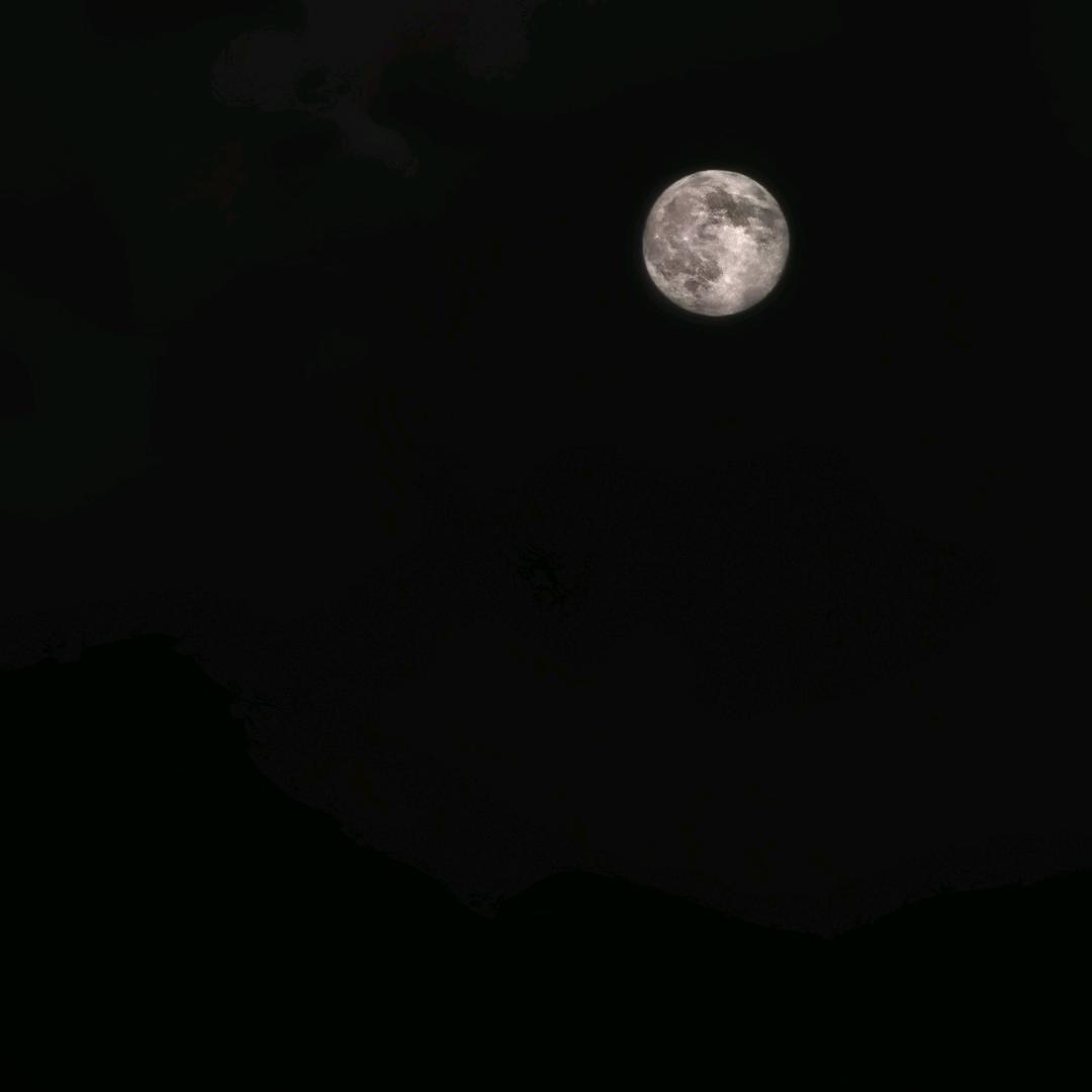 有限公司