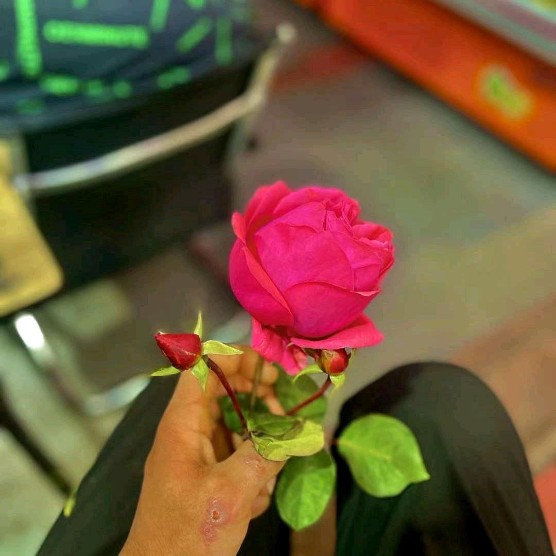 我是新疆好朋友