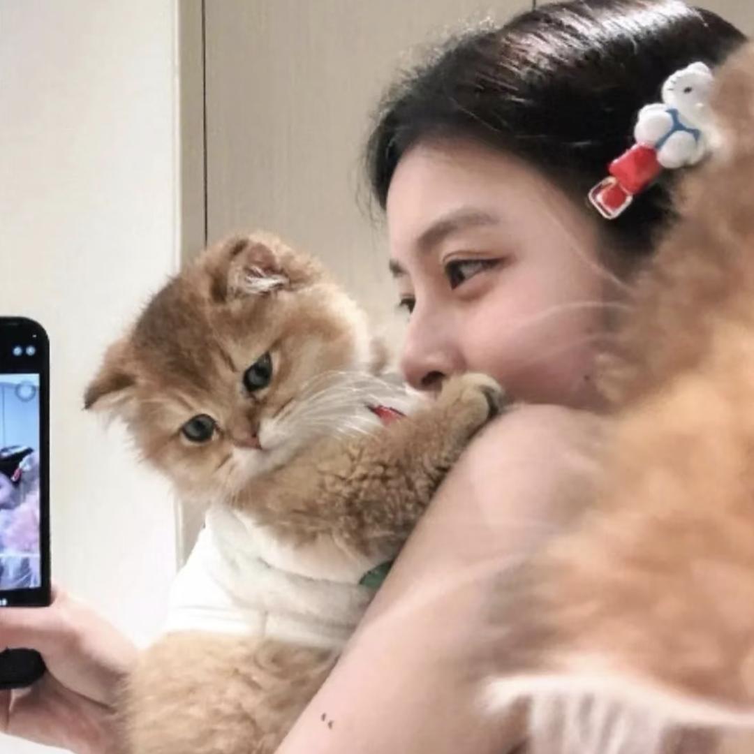 绵绵冰