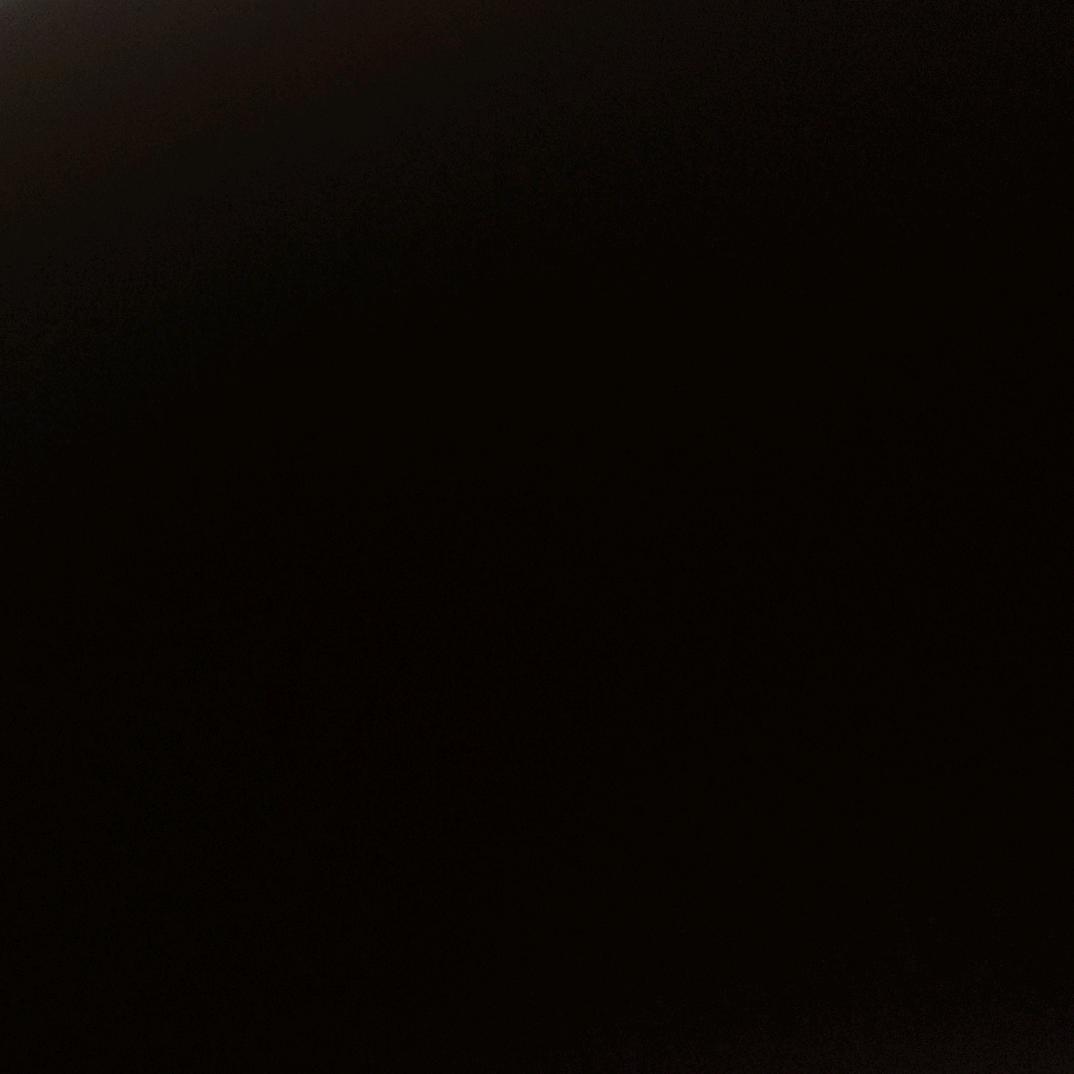 江诗月