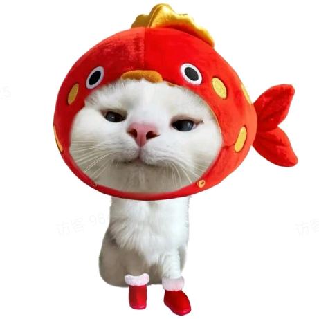 暖君搞笑