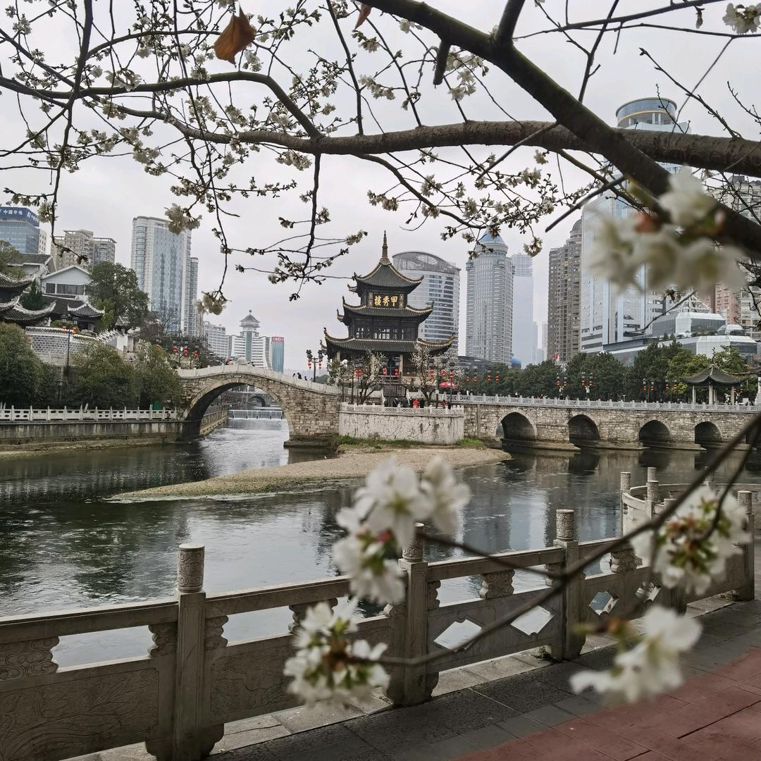 一墨寒梅