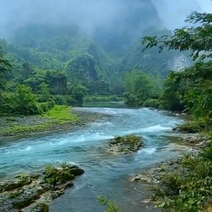 半牙哥