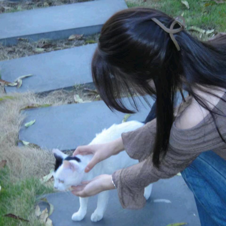 、,