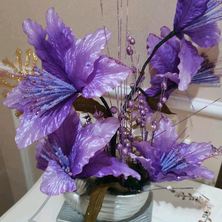 羊羊羊