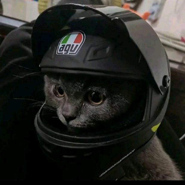 K。