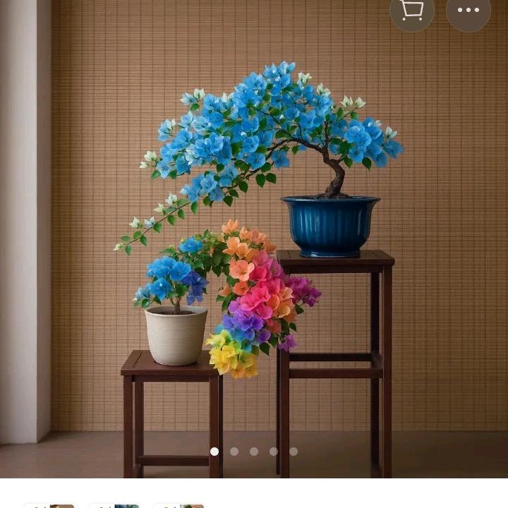思念