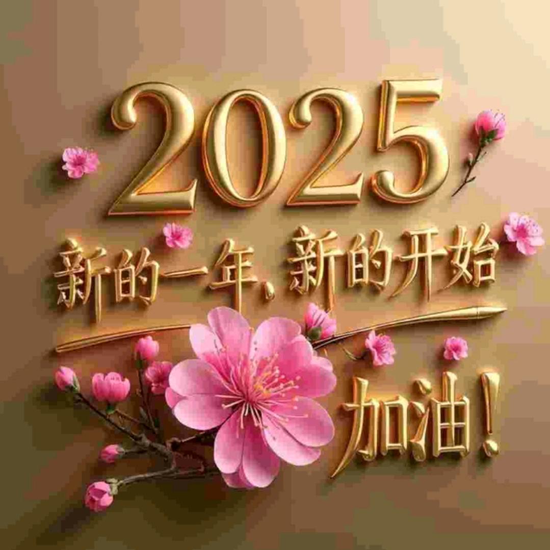 念哥（直播号）