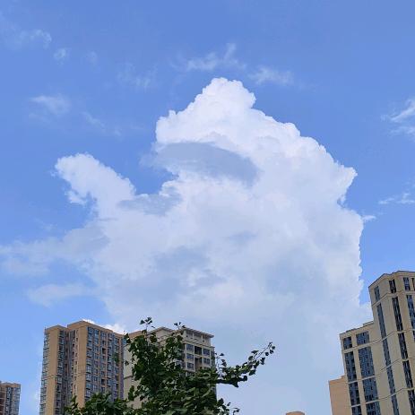树