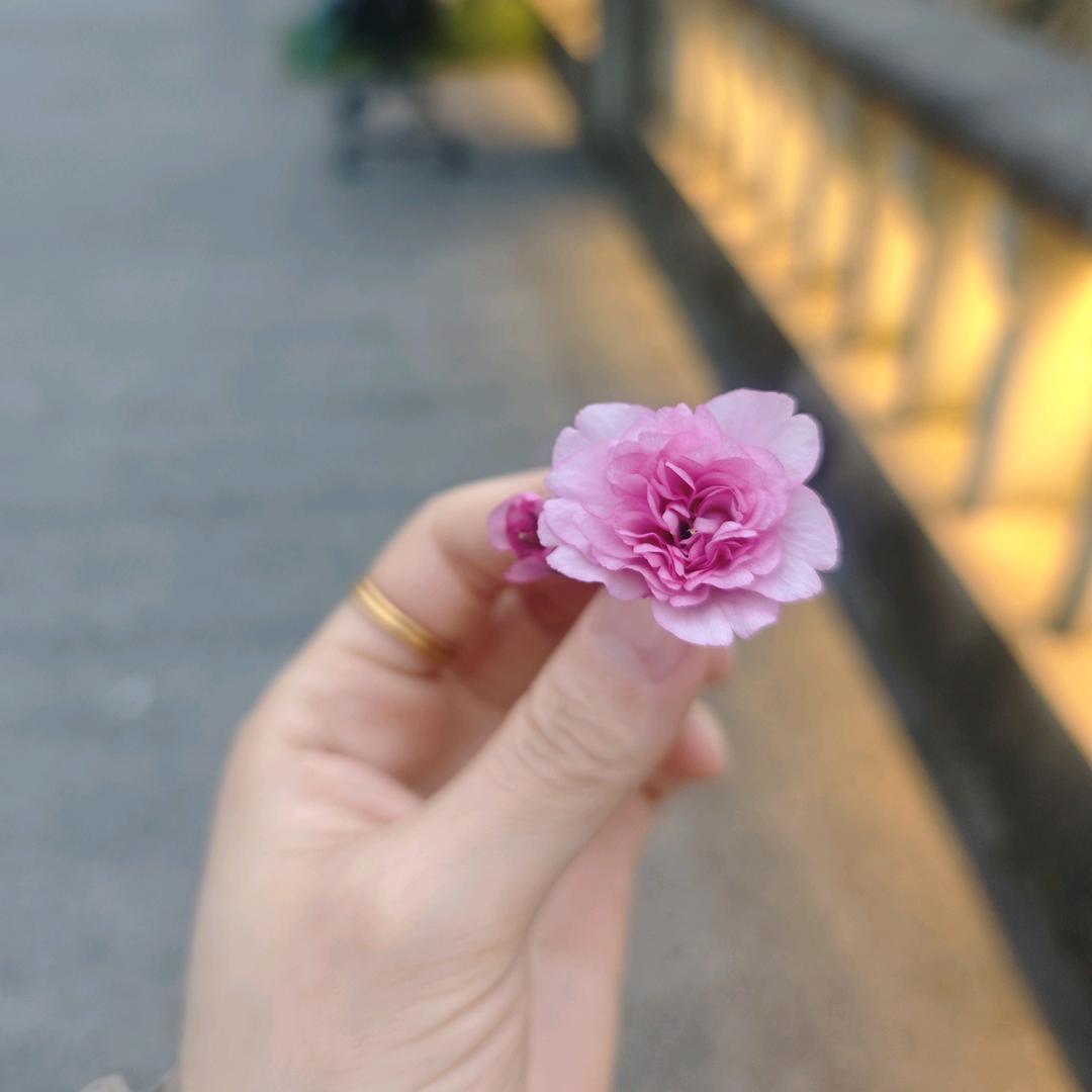 🌸  ♥℡🍃雨后彩虹🌈