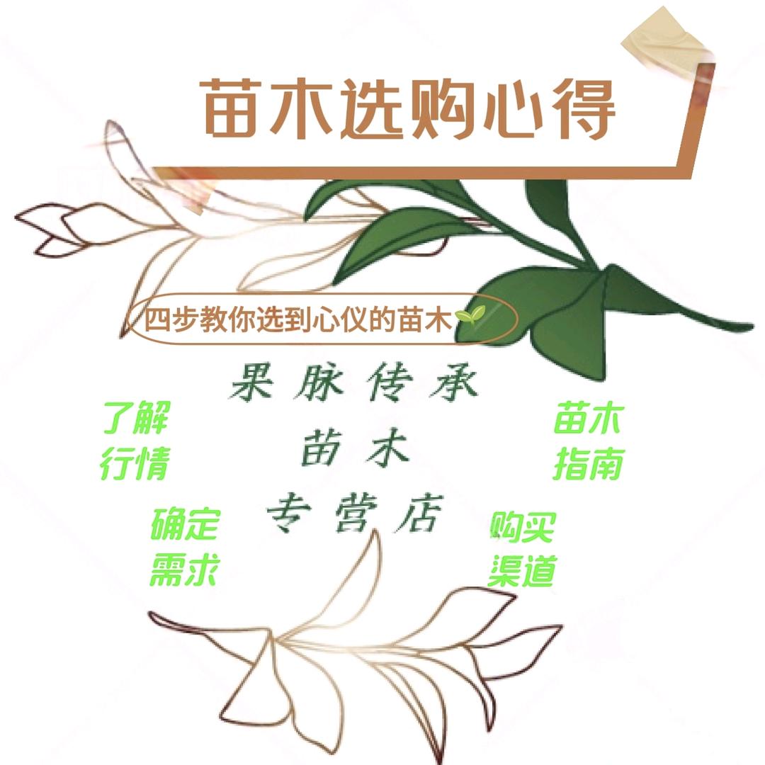 果脉传承果树苗木专营店