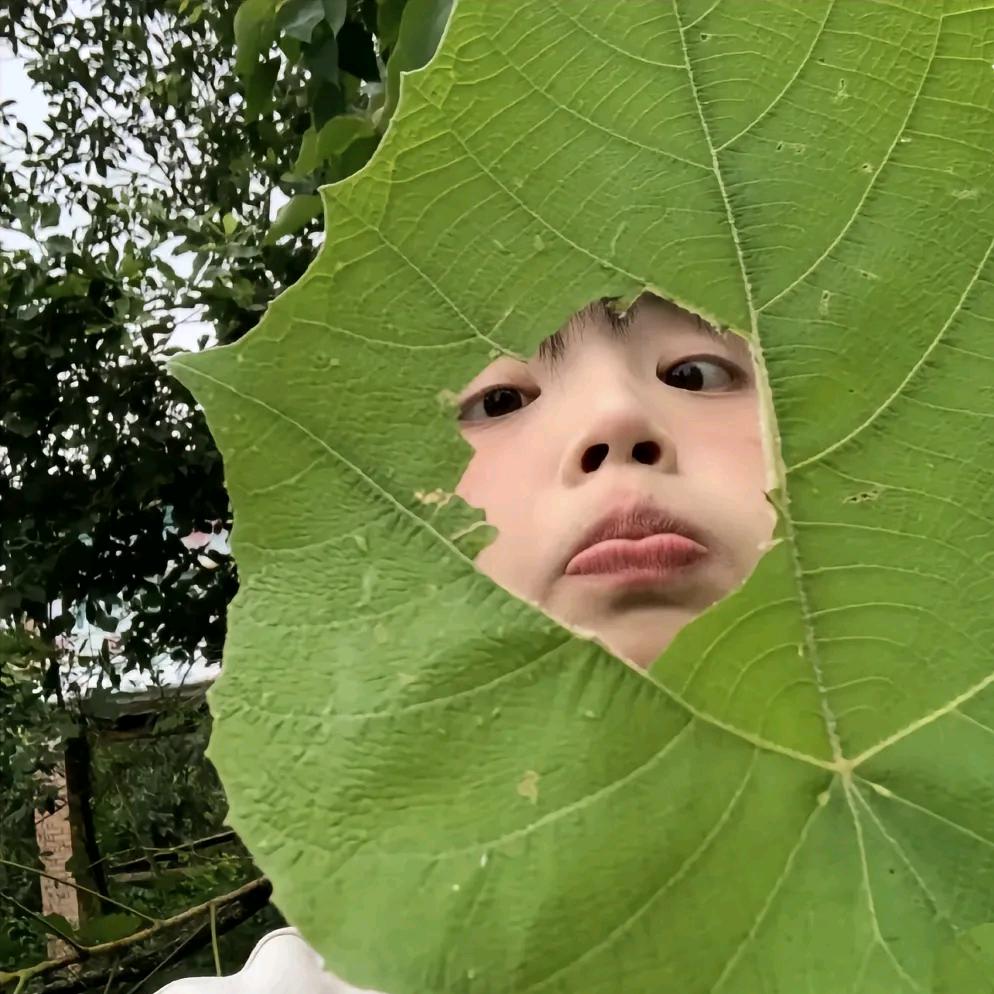 🍃🍃🍃