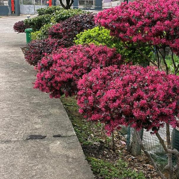 幸福平安
