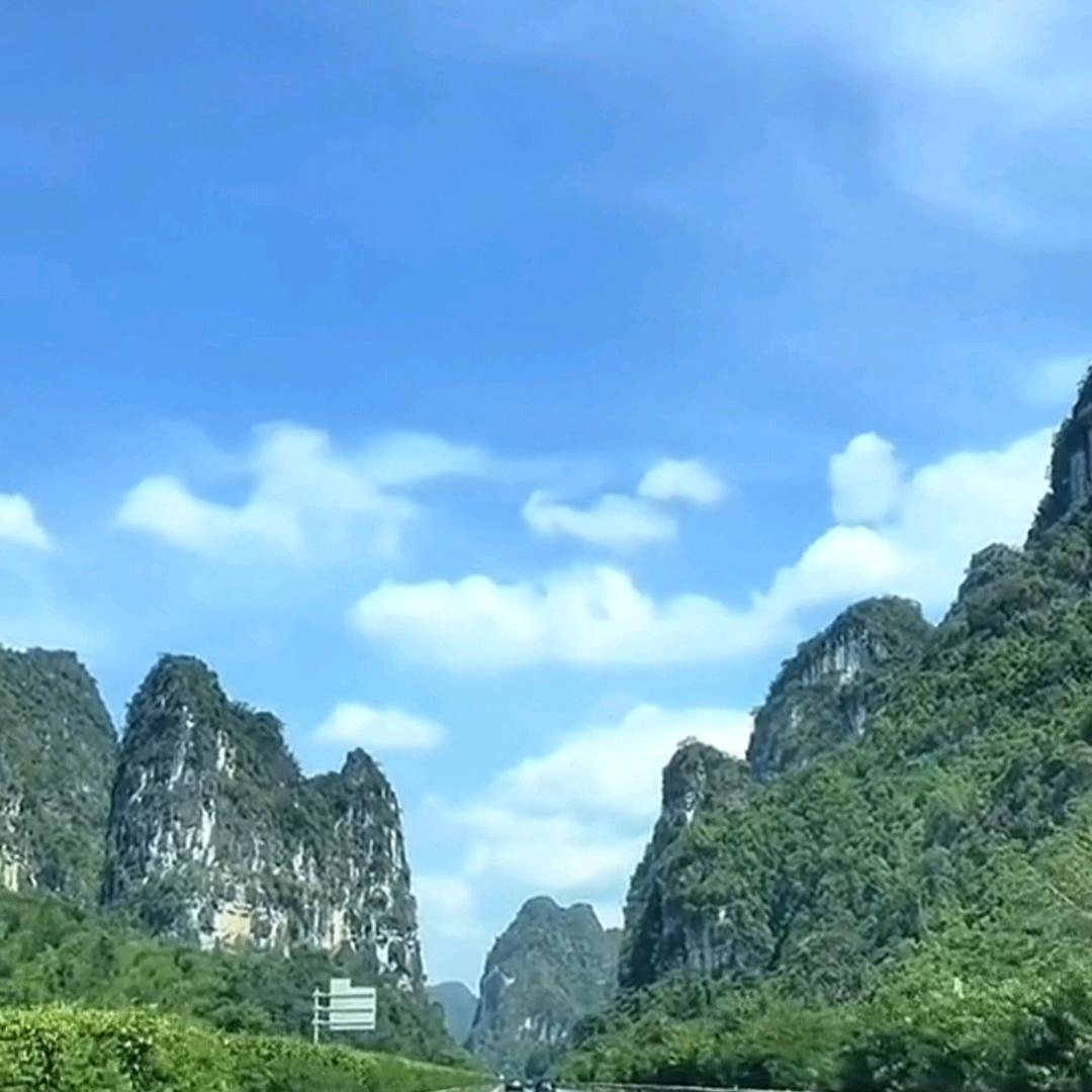 志腾飞跃