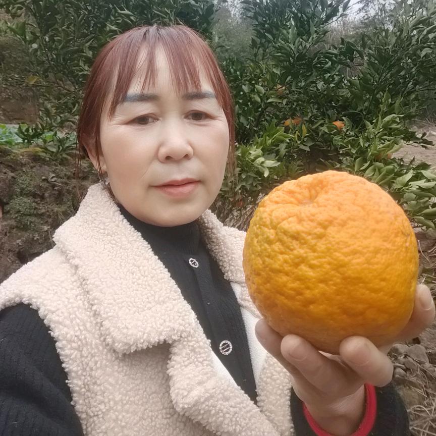 梅姐