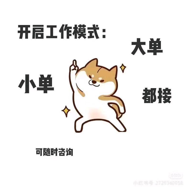 tiktok跨境电商-李总