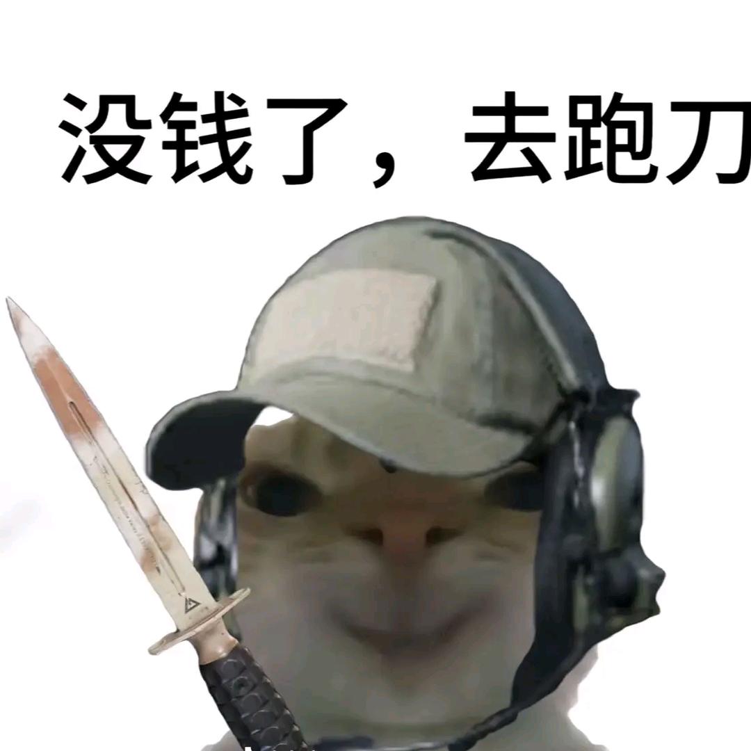 不会亏（三角洲行动）