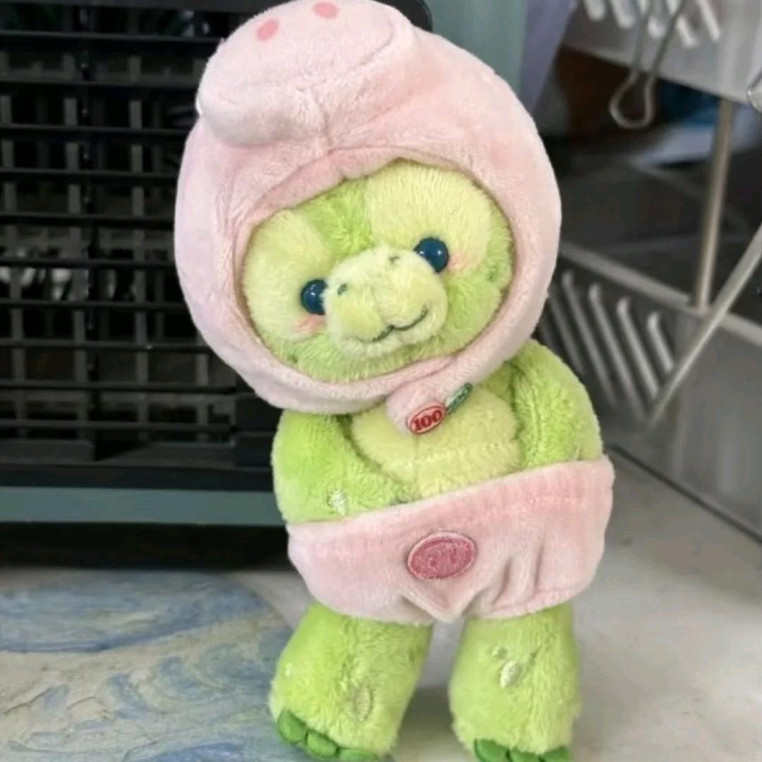 没有虫子的耳朵