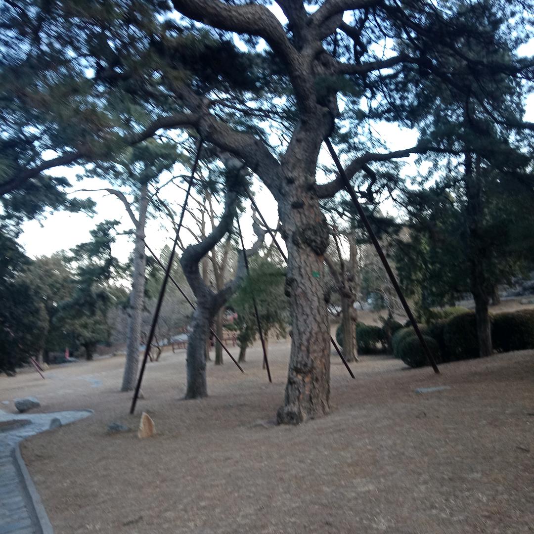 阳光A|剧场头像