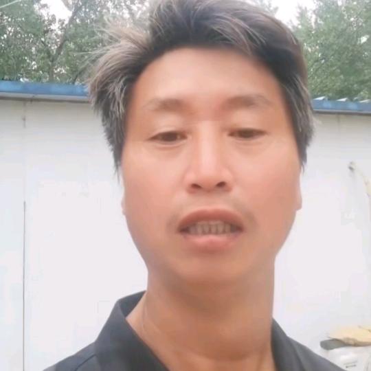 凤贵