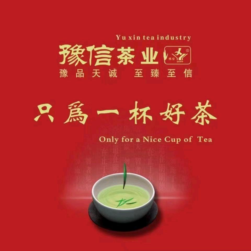 河南老字号豫信信阳毛尖